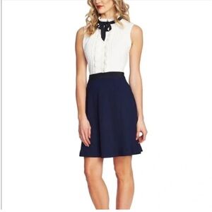 NWT CeCe Gramercy fit and flare  dress, size 6